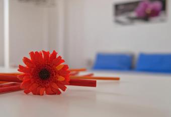 Guest House Ancora has Balcony rooms