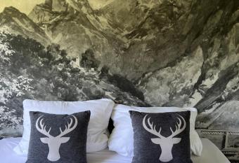 Bavaria Mountain Lodge SKI am Osser Bayrischer Wald DESIGNER Ferienwohnung has Balcony rooms