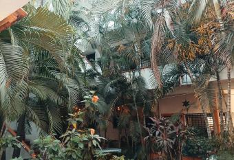 Hotel Villa Tulipanes allows 18 year olds to book a room