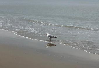 Gasthaus A&S - Oostende - Sky has Balcony rooms