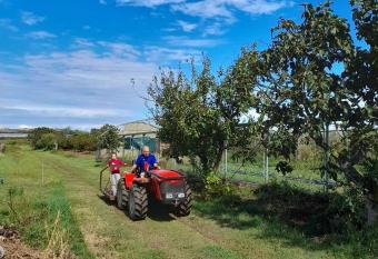 Agriturismo Il Cipresso allows 18 year olds to book a room