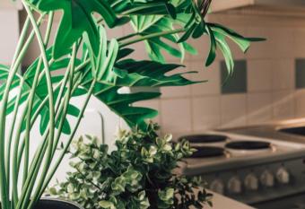 One bedroom flat with free parking allows 18 year olds to book a room