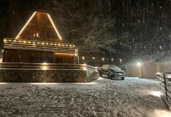 FOREST ANGEL has Balcony rooms