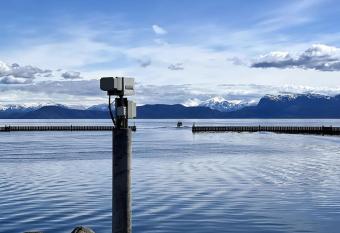 Seaside Central Apartment has Balcony rooms