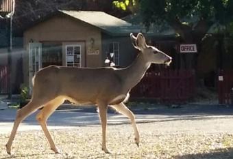 The River Inn has Balcony rooms