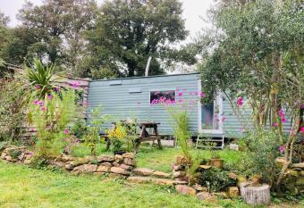 Olive s Cabin has Balcony rooms