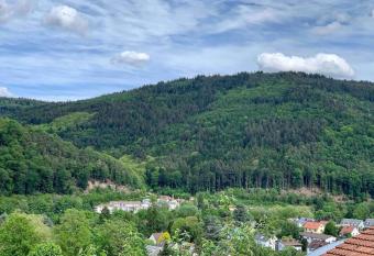 Cozy Hilltop Hideaway Apartment has Balcony rooms
