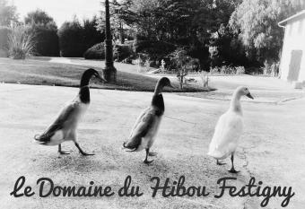 Le domaine du hibou Festigny allows 18 year olds to book a room
