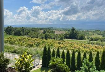 Apartmani Milosavljevi   has Balcony rooms