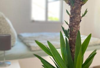 Gmiatliches Eck allows 18 year olds to book a room