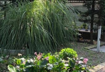 Il villino della duchessa has Balcony rooms