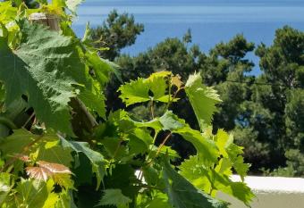 Apartmani Stipe Buljevi   2 has Balcony rooms