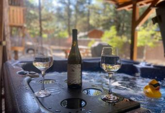 Irie's Retreat - Perfect location for multi-generational groups! Sauna, hot tub, Jungle gym! has Balcony rooms