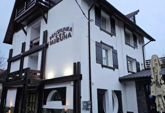 Pensiunea Miruna has Balcony rooms