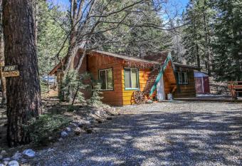 Owl Cabin - Sierra style cabin located on a quiet road in Fawnskin and backs up to National Forest! allows 18 year olds to book a room