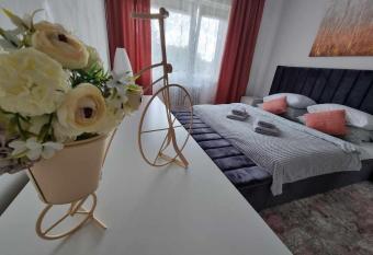 Prostorn   byt v centru u   eky, 2 lo  nice, balk  n allows 18 year olds to book a room