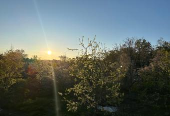 (null) allows 18 year olds to book a room