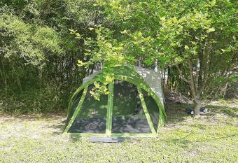 Arboreto allows 18 year olds to book a room