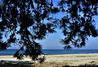 Sofi s Beach Bungalows has Balcony rooms