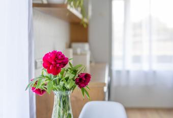 Manni s house with garden & playground allows 18 year olds to book a room