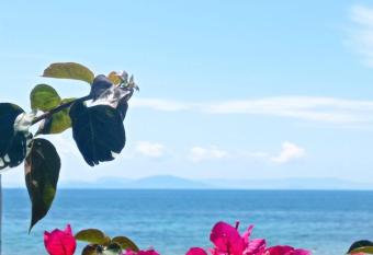 Athanasia has Balcony rooms