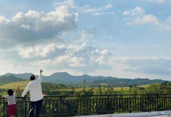 MISTY GREENS has Smoking/Balcony rooms