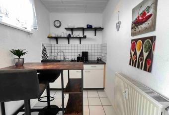 1-Zimmer Apartment im Zentrum allows 18 year olds to book a room