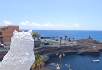 Tenerife Sea View Apartment allows 18 year olds to book a room