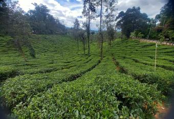 Wayanad Vibes by East West has Balcony rooms