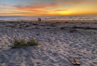 Salty Grape Apartments has Balcony rooms
