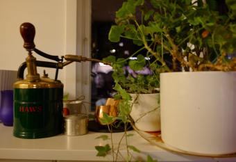 Bolinderbyn allows 18 year olds to book a room