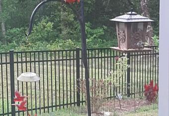 Quiet Getaway Near Myrtle Beach has Balcony rooms