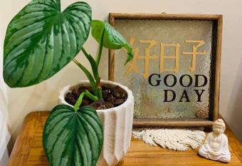 Good Days has Balcony rooms