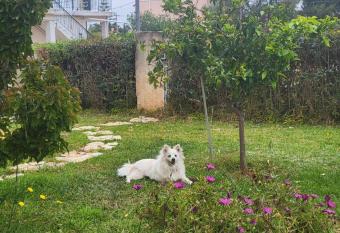 Rena studio has Balcony rooms