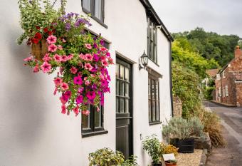 Woodview - cosy 1840s cottage in Chew Valley and Mendip AONB allows 18 year olds to book a room