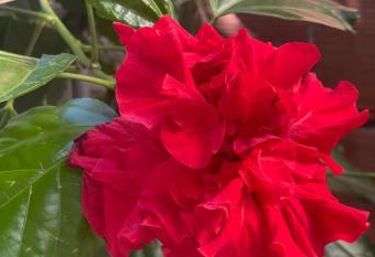 LAKAY SONSON allows 18 year olds to book a room