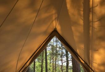 Forest glamping has Balcony rooms
