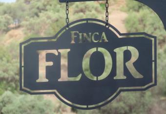 Finca Flor allows 18 year olds to book a room
