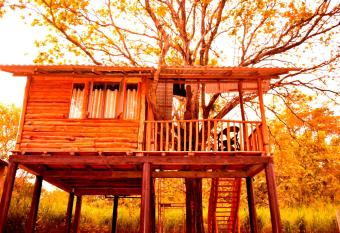 Tree House 4 Nature Lovers has Balcony rooms