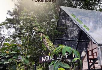 The Backyard Glamping Cameron Highlands has Balcony rooms