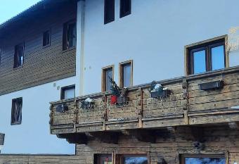 Haus Stille Oase has Balcony rooms