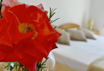 Apartments Alba allows 18 year olds to book a room