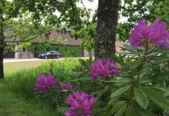 Le Pr   des F  es allows 18 year olds to book a room