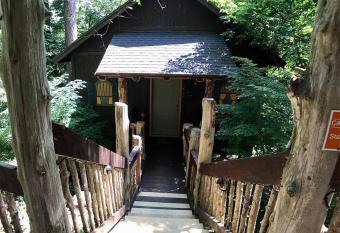 Chateau Treehouse #11 @ Oak Crest Cottages and Treehouses has rooms with a private hot tub