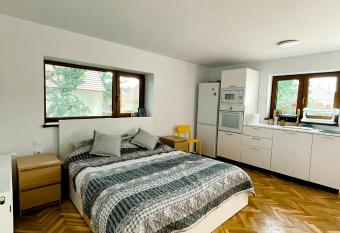 Studio minunat de vacanta Cristian has Balcony rooms