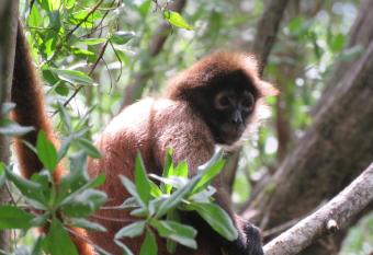 Chosa Manglar Nature Suites allows 18 year olds to book a room