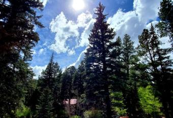 Edelweiss Resort Greer allows 18 year olds to book a room