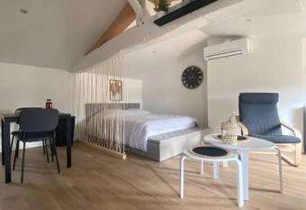 Studio neuf lumineux climatis   allows 18 year olds to book a room