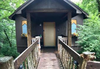 Abbey Chateau Treehouse #10 / Oak Crest cottages and treehouses has rooms with a private hot tub