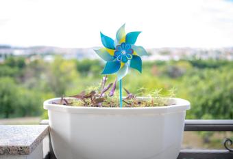 Apartman Put Salone has Balcony rooms